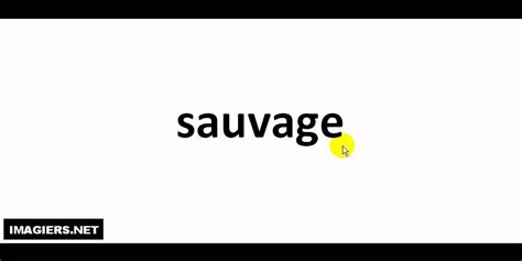 what does sauvage mean in french|sauvage pronunciation in french.